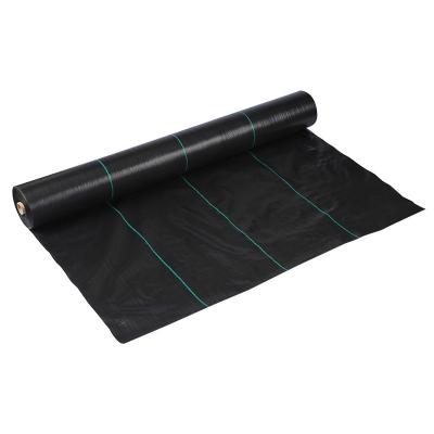 China Modern Professional Size Garden Ground Cover Weed Control Customized Plastic Mat Supply for sale