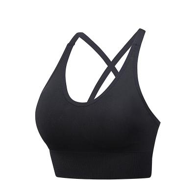 China QUICK DRY Factory Plus Size Underwire Sports Bra Vest Type Shock Proof Fitness Yoga Sports Bra Vest Underwear Set for sale