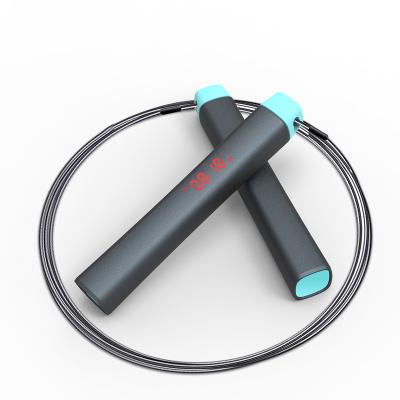 China Fat Burning Workouts Fitness High Precision Count/Timing Exercises Speed ​​Jump Rope Skipping Rope for sale