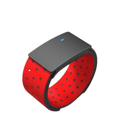 China Wifi Product Heart Rate Monitoring Selling Arm Band, Waterproof Warm And Energy Saving, With Wheat And Blood Oxygen Monitoring for sale