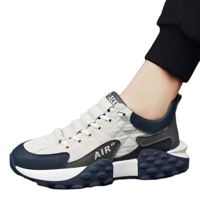 China Sports Mens Teen Sneakers Casual Sports Skate Shoes Elevator Shoes Internet Celebrity Platform Shoes for sale