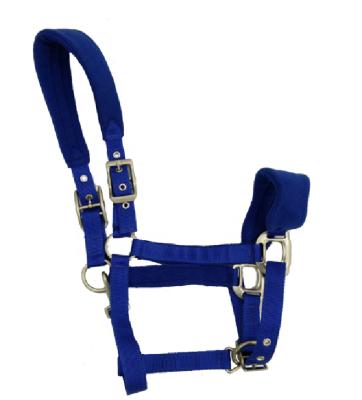 China Lasting Sale Custom Horse Halters and Lead Ropes for sale