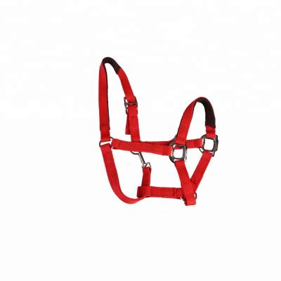 China Wear-Resisting Comfortable Cool Horse Halters Pony for sale