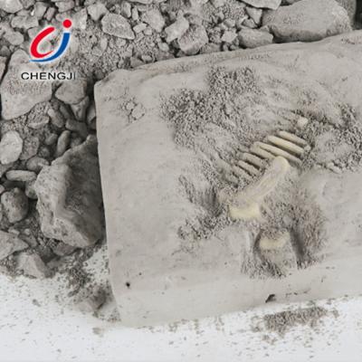 China DIY Archeology Excavation 3D Kit Kids Dig Dinosaur Fossil Skeleton Plastic Toy CJ-1412160 for sale