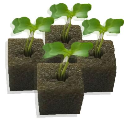 China Phenol Moss Growing Media Grow Media Seedling Solution Root Media Green House Hydroponic Soilless Growing Medium for sale