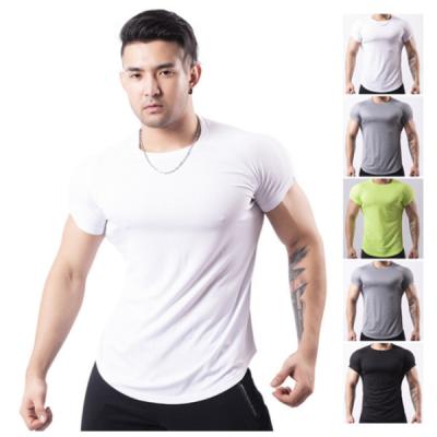 China Mens Gym Fabirc Bird Eye Bird Mesh Sleeve T-Shirts Long Line Custom Graphic T-shirt Short QUICK DRY Famous Brands For Men for sale