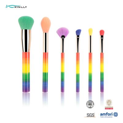 Chine L'arc-en-ciel synthétique coloré de cheveux de brosse de lecture de maquillage de 6 PCs composent la brosse de lecture à vendre