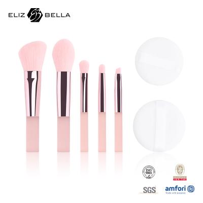 China 5 pinceles de maquillaje lindos, kits de maquillaje de viaje con caja de embalaje de PVC transparente, pedidos OEM / etiqueta privada / diseño de impresión en venta