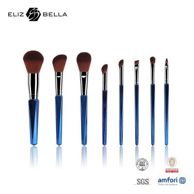 China 8pcs Professional Makeup Brush With Plastic Handle OEM ODM Customized for sale