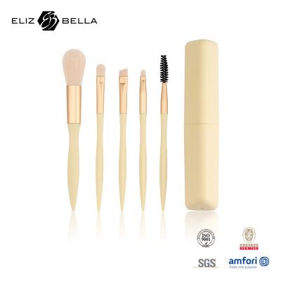 China 5 Mini Brushes Set With Brush Holder Special Plastic Handle Cosmetic Brush OEM for sale