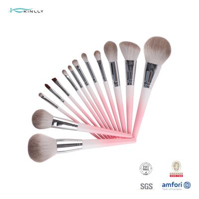 China Virola de aluminio de la manija 13PCS del maquillaje de la colección básica plástica del cepillo en venta