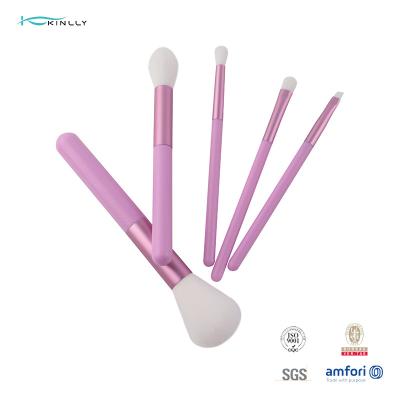 Chine Le maquillage en nylon de cheveux balaye la brosse de lecture cosmétique de voyage de la collection 5Pcs à vendre