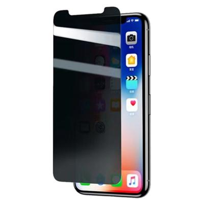 China 3D PC/Notebook Privacy Tempered Glass Protective Film For Apple 11 12 Max Pro Mini Pro Series Screen Protectors for sale