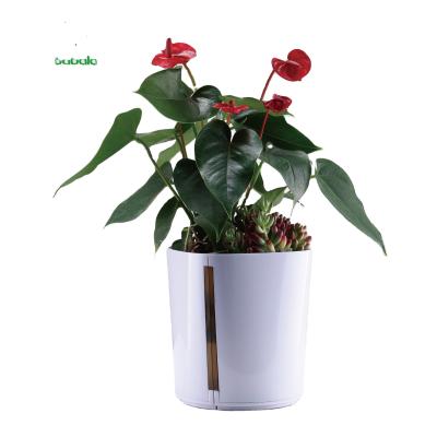 China Metal And Plastic Special LED Flower Pot Gift Decoration for sale