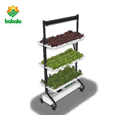 China Hydroponic Agriculture Planting Hydroponic Indoor Smart Garden with LED Bars and Irrigation Pump for sale