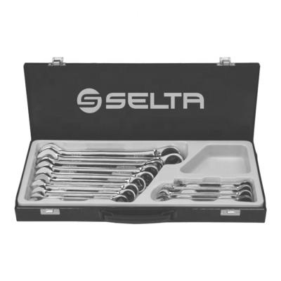 China Auto Car Repair SELTA Multi Purpose Tool Kit 13 Pcs Ratchet Wrench Set for sale