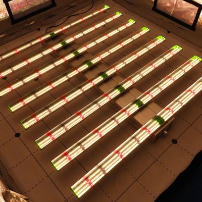 China Seed Starting KingBrites 660W LED Grow Light Bar, 8 Strips LM301H, Bar Grow Lighting for sale