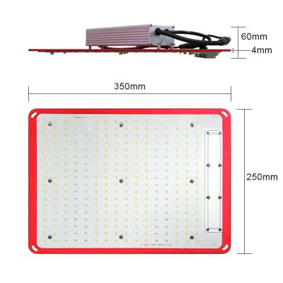 China Seed Starting Full Spectrum 120W SF1000 IP67 Waterproof Horticulture LED Grow Lights Vertical Lighting sf2000 for sale