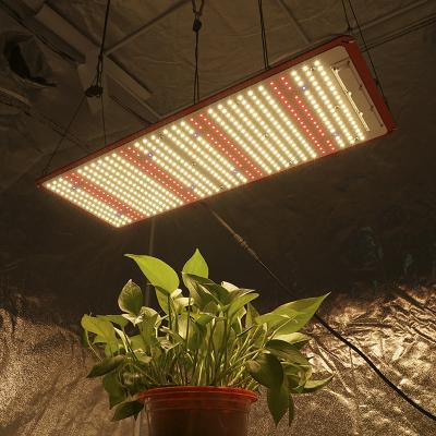 China Seed starting panel 240W, lm301h led grow light sf2000 UV IR grow lights for indoor plants led for sale