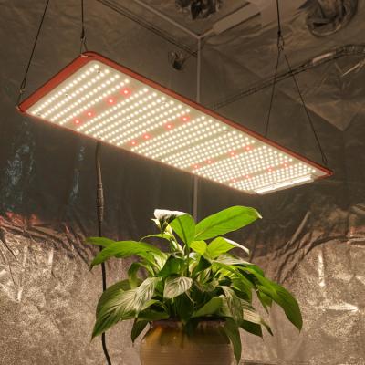 China Seed Starting LM301H 3500K Mix CREE XP-G3 660nm QB288 V3 For Indoor Garden Plants for sale