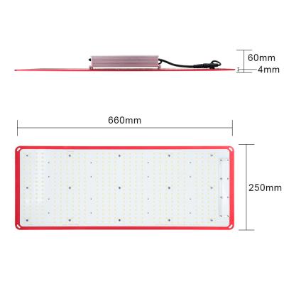 China Knob Dimming Board KingBrite IndexGrow 240W LM301H , CREE XP-G3 660nm Mix 3000K 3500K Deep Red For Indoor Plants for sale