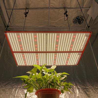 China Seed Starting SF4000 480W , LM301H Panel Best Mix QB288 CREE XP-E2 660nm 288 v3 Led Grow Light Kit for sale