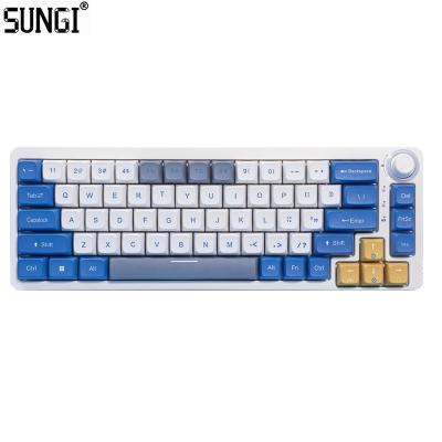 China ABS Plastic Mechanical Keyboard 3 Keys RGB Backlight Gaming Keyboard 3 Mode Real Wired BT 60% Wireless Mechanical Keyboard for sale