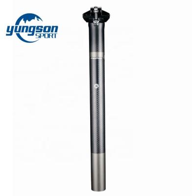 China Super Lightweight Carbon Fiber 195g Dropper Seat Post 27.2/30.8/31.6mm* 330mm Alone for sale