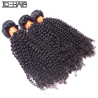 China Curly Curly TD Hair New Products For Malaysian Hair Afro Malaysian Color Women Virgin Curly Curly for sale