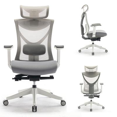 China (Size) Modern High Back Luxury Adjustable Mesh Executive Ergonomic Office Chair for sale