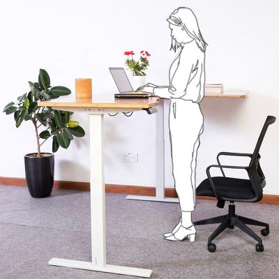 China Table Position (Height) View Smart Ergonomic White Ergonomic Office Home Height Adjustable Electric Desk for sale