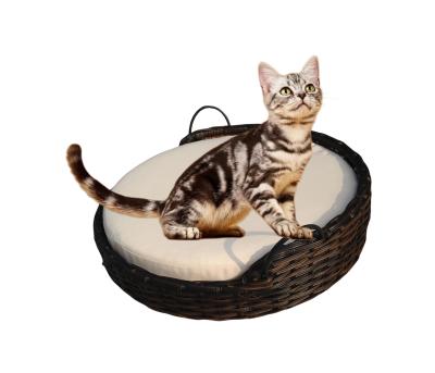 China Swing Rattan Hanging Pet Bed PP Natural Woven Wicker Dog Cat Animal Sleeping House Baskets Outdoor Indoor for sale