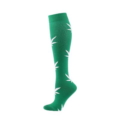 China Fashionable QUICK DRY socksmate the streets knee-high socks maple leaf factory bangs unique style for sale