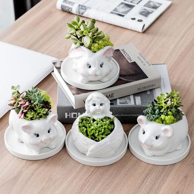 China Plant anti-corrosion white ceramic succulent cartoon balcony garden family porcelain animal flower pot with hand painted for sale