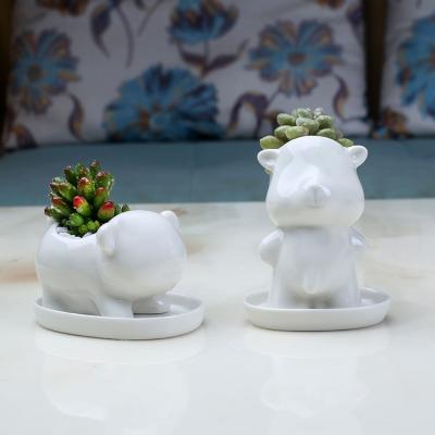 China European Anti-corrosion Ceramic Succulent Flower Pot Desktop Cute Cartoon Bear Desktop Flower Pot for sale