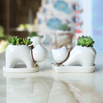 China Cute Cartoon Kitten Green Plant Pot Anti-corrosion White Ceramic Succulent Home Decoration Flower Pot for sale