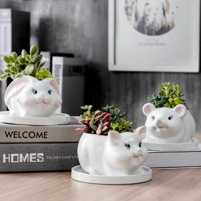 China Anti-corrosion White Succulent Family Balcony Green Plant Gardening Ceramic Flower Pot for sale