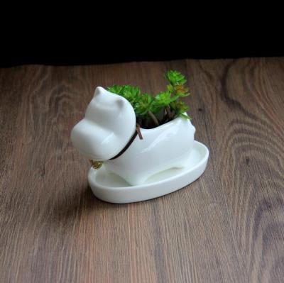 China Anti-Corrosion Ceramic Flower Pot Kitten Shaped Mini Field Gardening Mini Succulent Flower Pot for sale