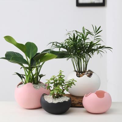 China Retro Simple Modern Anti-corrosion Hydroponic Ceramic Flower Pot Gardening Egg Shell Shaped Succulent Flower Pot for sale