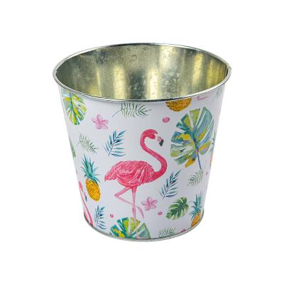 China Wholesale Flower Pot Art Iron Flower Bucket Tropical Style Anti-corrosion Factory Color Printing Iron for sale