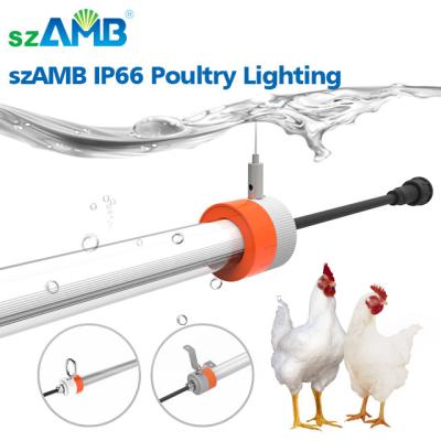 China High Efficiency IP66 Waterpoof Dimming Cattle Light or Poultry Farm Tube LED Lighting with 5 Years Warranty for sale