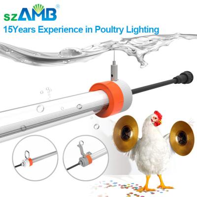 China High Efficiency IP67 Dimmable / 0-10v Dimmable Triac Tube Poultry Poultry Light Hot Selling Animal Light for sale