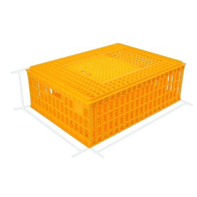 China Farms 51cm*74cm*27cm Chicken Transport Plastic Crates PE Poultry Transport Crates Box for sale