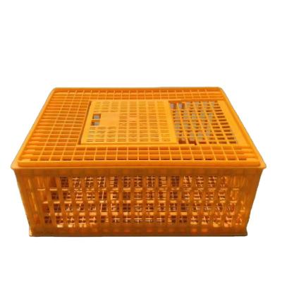 China Plastic Farms 54CM*74CM*23CM Dove& Chicken Transport Cases Transport Crates for sale