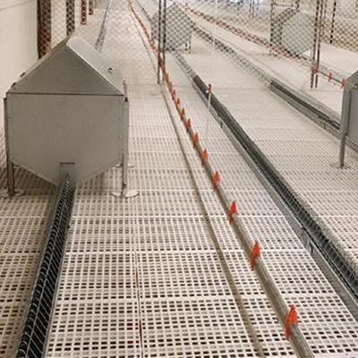 China Farms Poultry Breeder Chain System Layer Feeding Hens Poultry Farm Use Feed Chain Line for sale