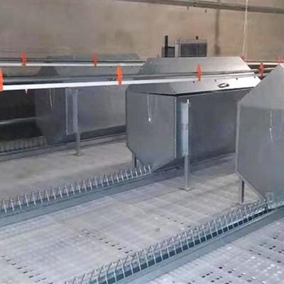 China Plastic Trusses 500mm*500mm Slat For Farm Broiler Raised Slat Floor Easy Cleaning Plastic Slat for sale