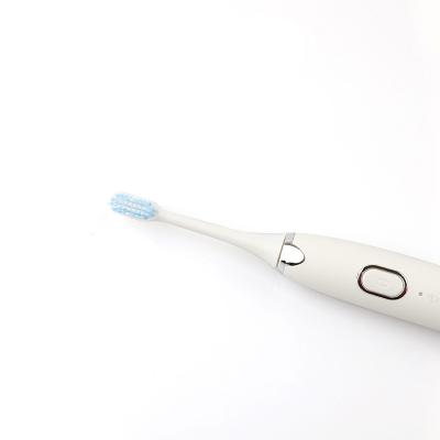 China Hotel 2021 new Carry Travel Electric Waterproof Toothbrush easy filling portable Sonic Electric Toothbrush for sale