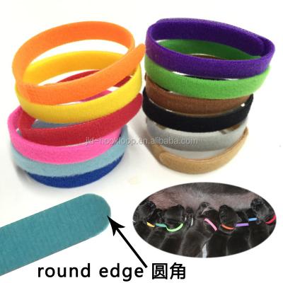 China Sustainable Premium Pet Supplies Show Intelligent Safe Dog Training Recovery Collar for sale