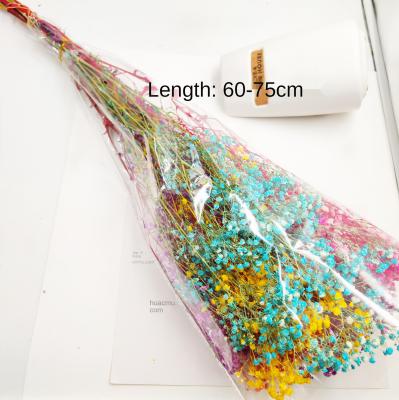 China Eco-Friendly Fairy Silk Flowers Eco-Friendly/Real Flowers Dried Flower Gardens Wall Design Decoration Flower Gypsophila Star for sale