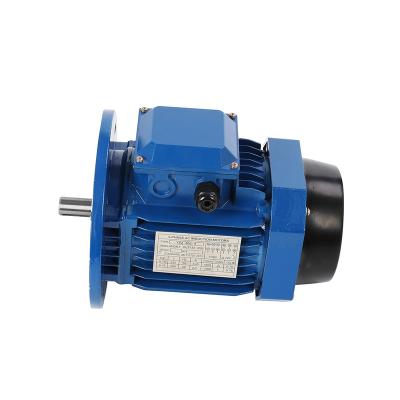 China Y2 Series Big Horsepower Three Phase Asynchronous Cast Aluminum Home Waterproof Hot Selling Electric Motors for sale